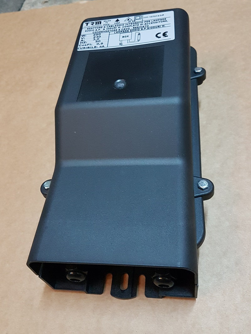TRM 250W Natriumdampf + MH VSG - IP 65 (SHP + MH)